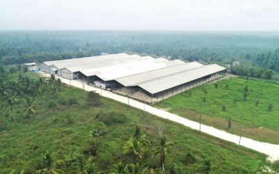Pembangunan Pabrik Dolomit – Palembang